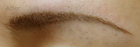 パーマネントメイクアップ施術後：1本1本の眉（拡大）