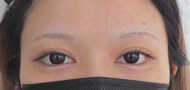 「理想の美眉をキープ！朝のメイク時間を短縮する消えない眉」